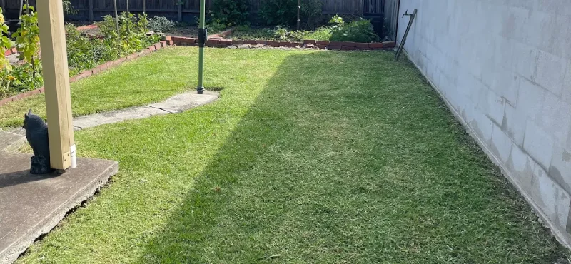 Garden transformation