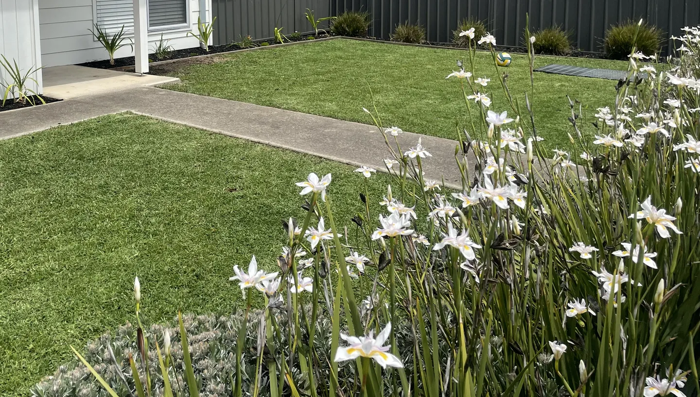 A front garden lawn in Brooklyn with freshly trimmed grass and neat edges along its concrete and garden bed borderings, broken up by a pathway in the middle