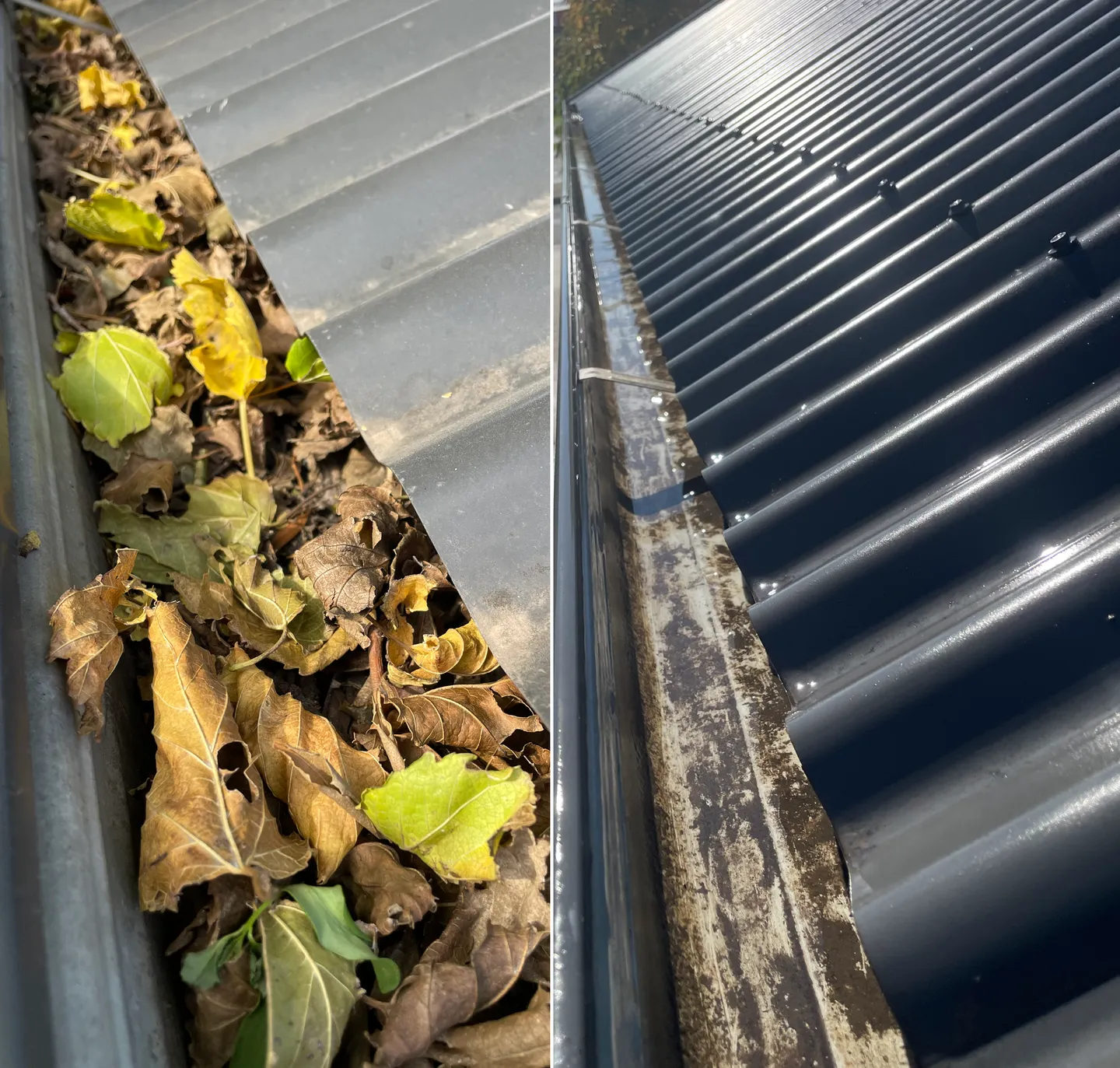 Before and after comparison of a roof gutter clogged with dry leaves versus completely cleared in Brooklyn