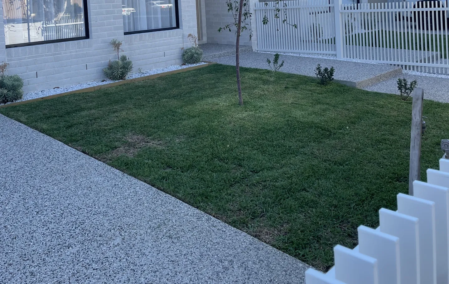 A front yard garden with a neatly cut lawn and crisp grass edging