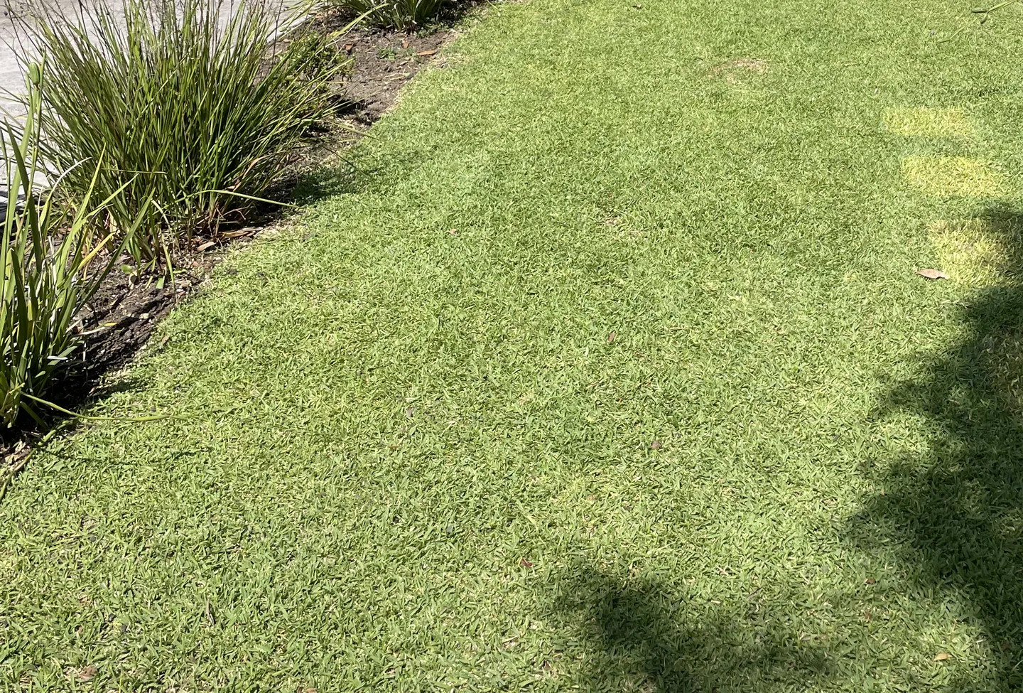 A suburban front yard showcasing a freshly cut, level green grass lawn