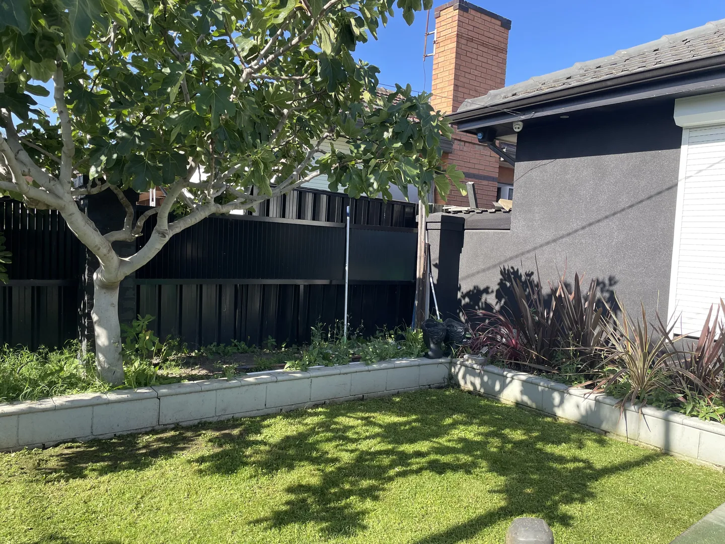 A small front yard lawn showing short, freshly mown green grass
