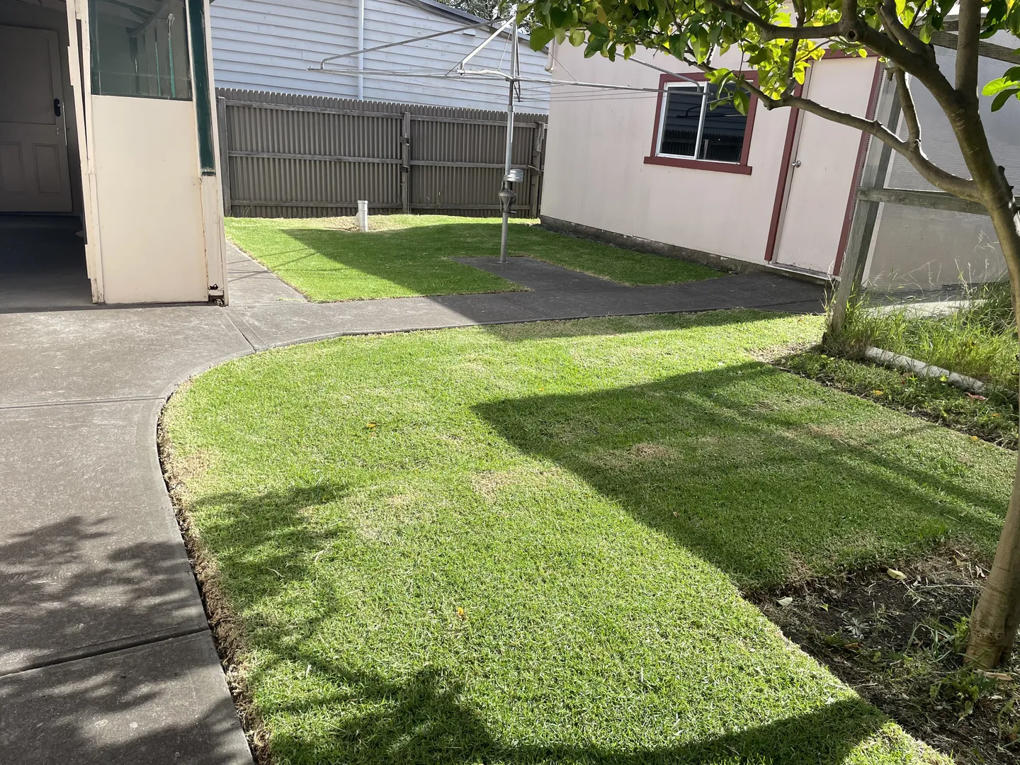 A suburban backyard with freshly cut lawn grass and neatly trimmed edges