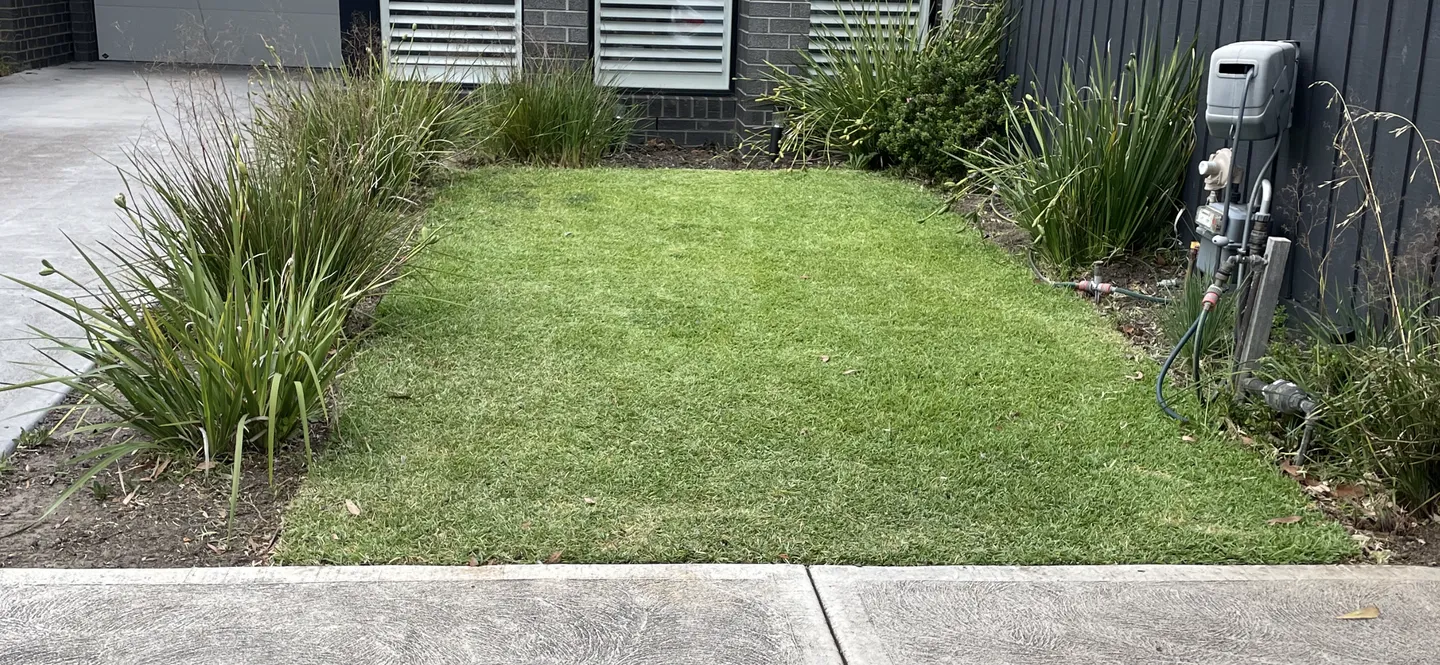 A level grass lawn with neat edges after being cut with an electric mower