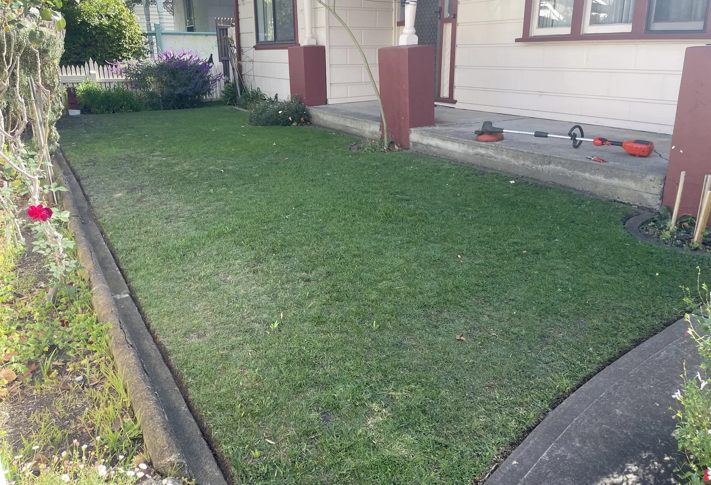 A green front yard lawn freshly mowed with straight borders alongside a concrete divider and a garden bed