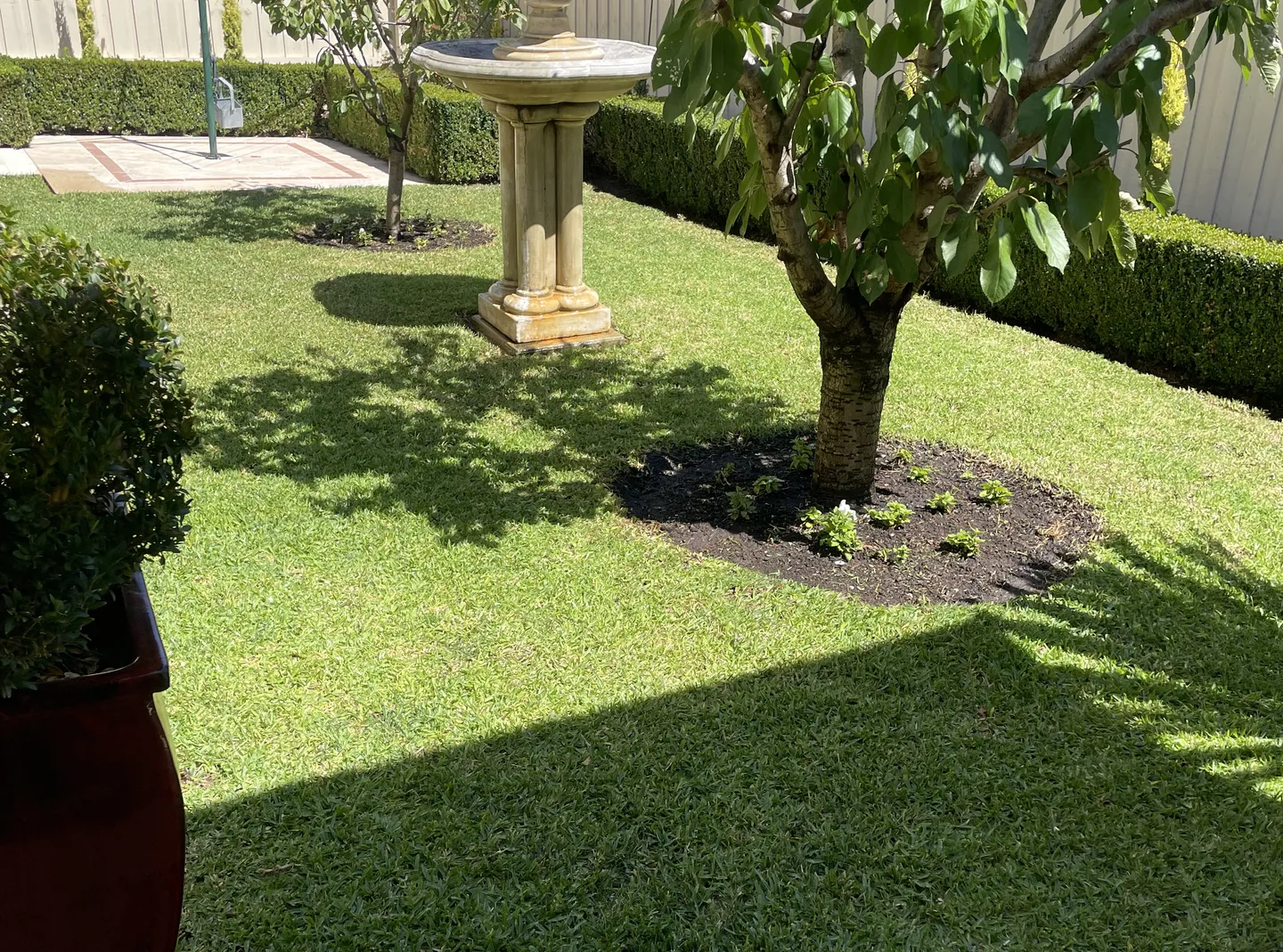 A green backyard lawn showing even grass height from a fresh mow