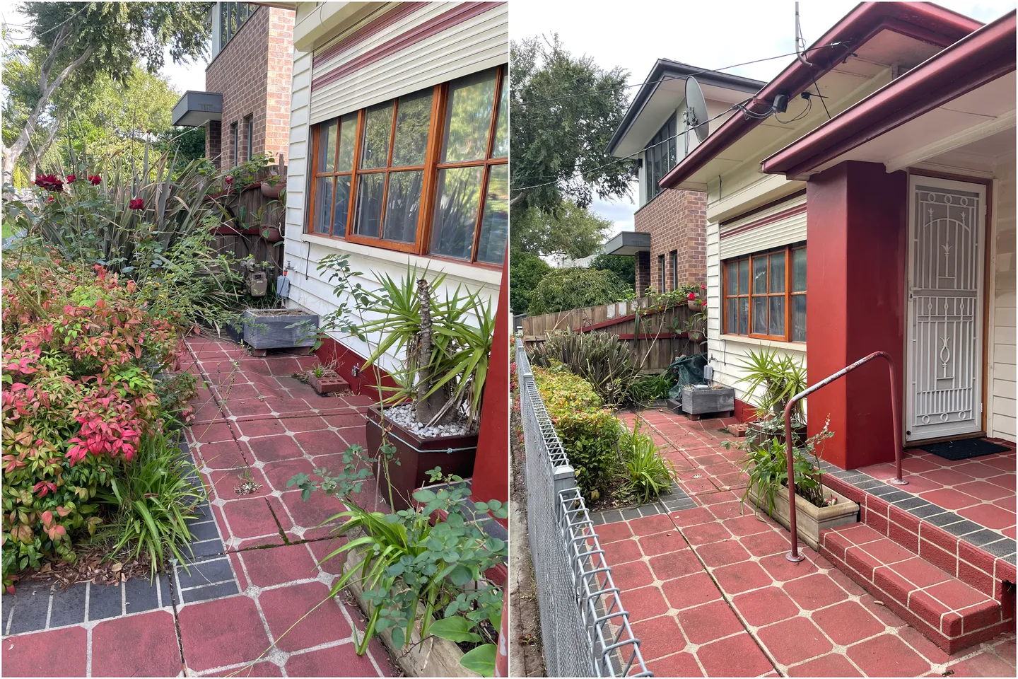 Before and after comparison of frontyard plants before trimming versus trimmed and tidy