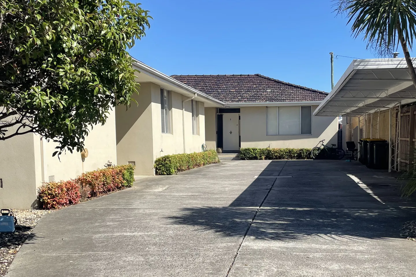 Low neatly trimmed box hedges lining a concrete driveway in Melbourne