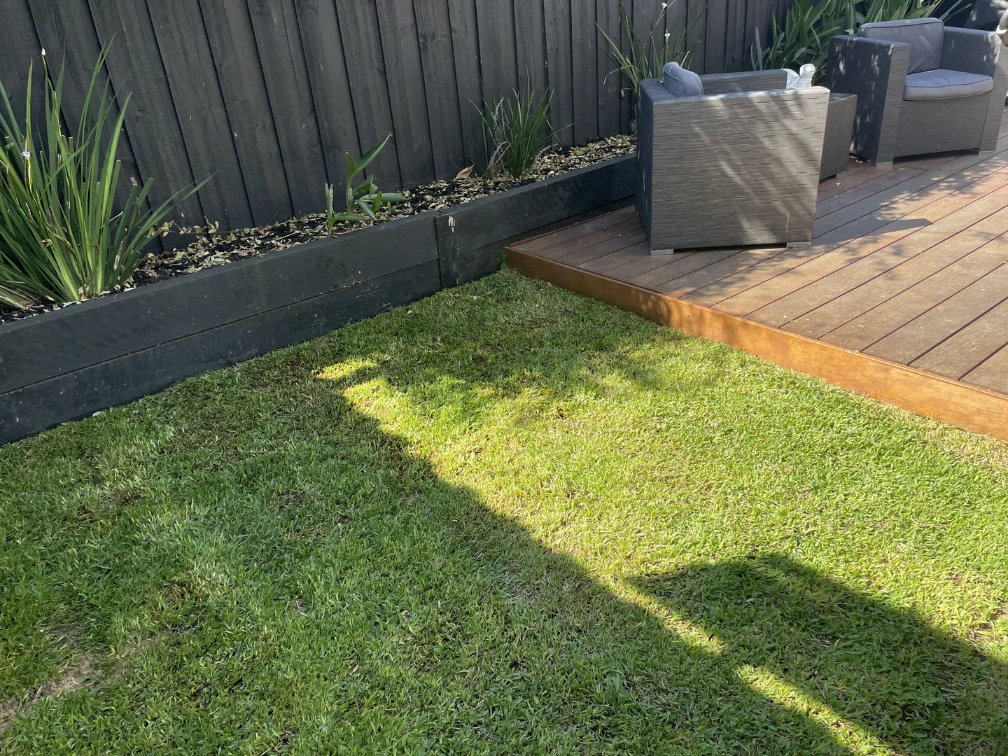 Green lawn next to a wooden deck in a backyard, in a small enclosed space, after lawn mowing and edging