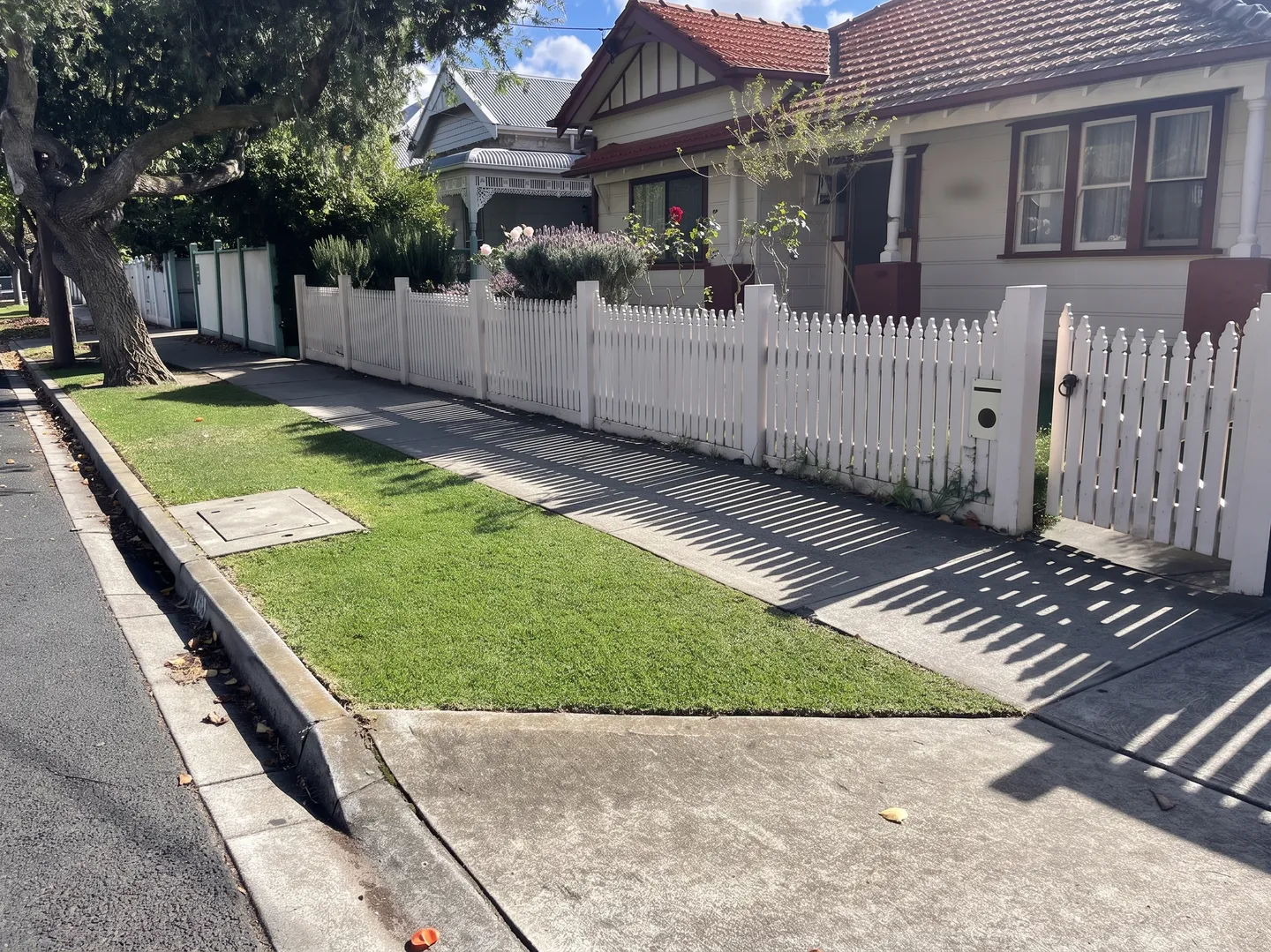 Mowed green nature strip lawn in front of house with white picket fence