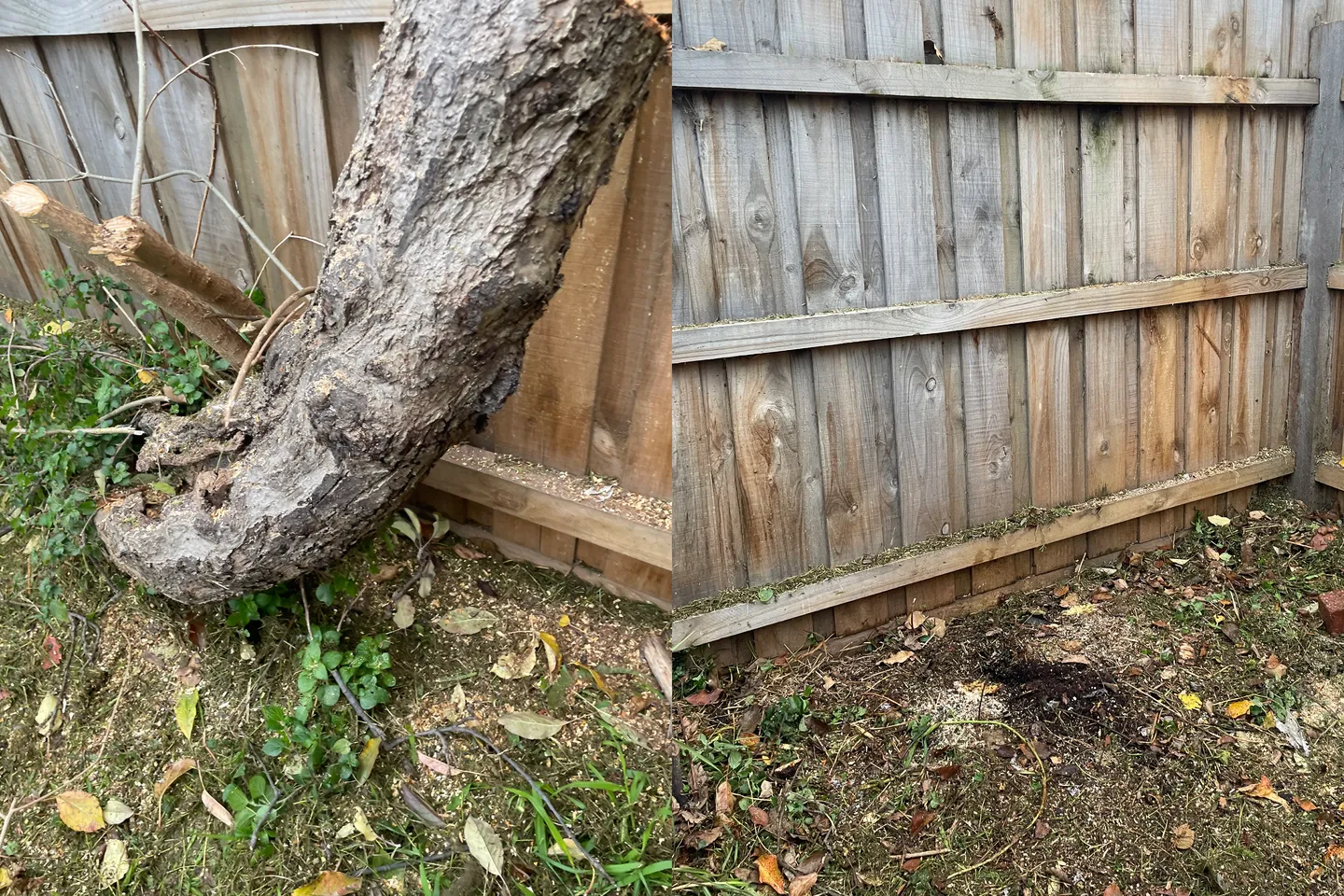 Before and after comparison of safe tree removal and site clearing services
